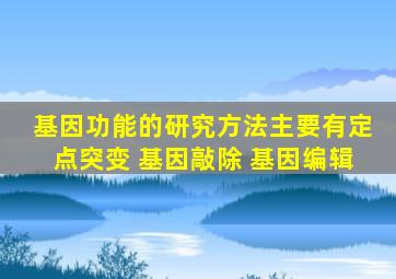 基因功能的研究方法主要有定点突变 基因敲除 基因编辑